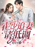 霍少追妻请低调